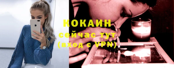 винт Гусев