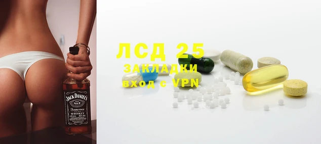 шишки Тутаев