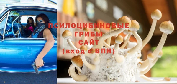 a pvp Дмитровск