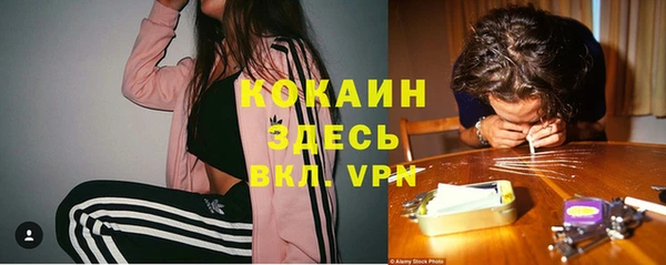 крисы Дмитриев