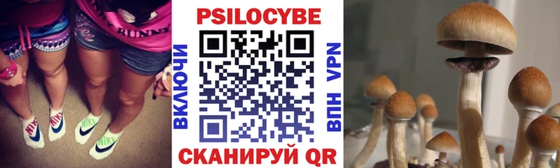 Псилоцибиновые грибы мицелий  площадка формула  Горячий Ключ 