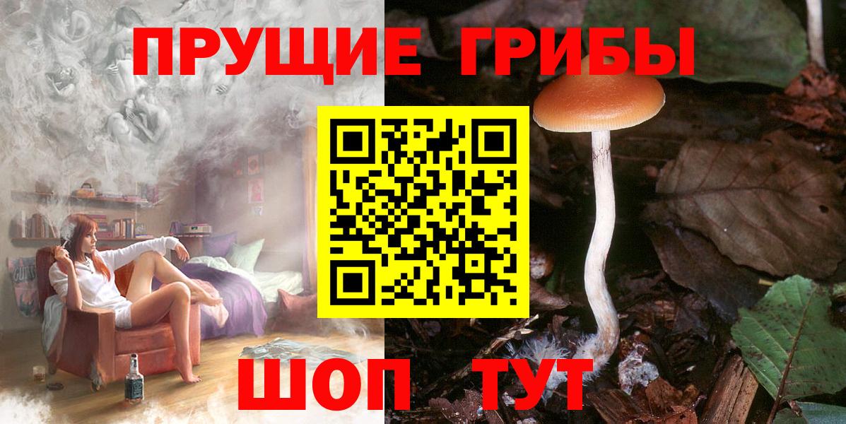 Псилоцибиновые грибы GOLDEN TEACHER  Вход с VPN  Горячий Ключ 